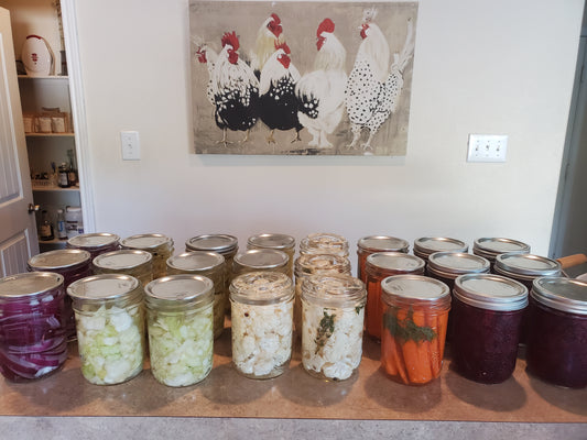 Fermented Vegetables