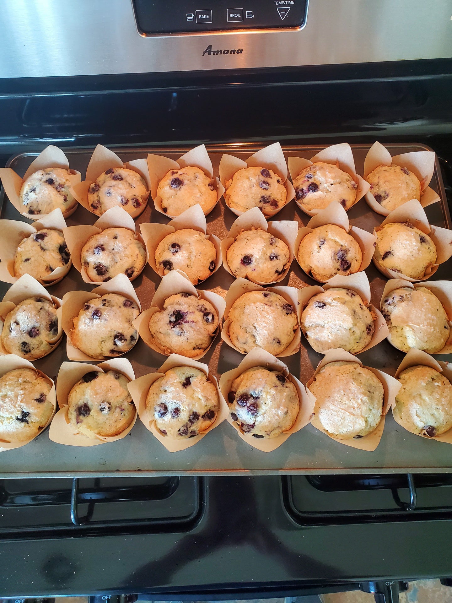 Gluten-Free Muffins