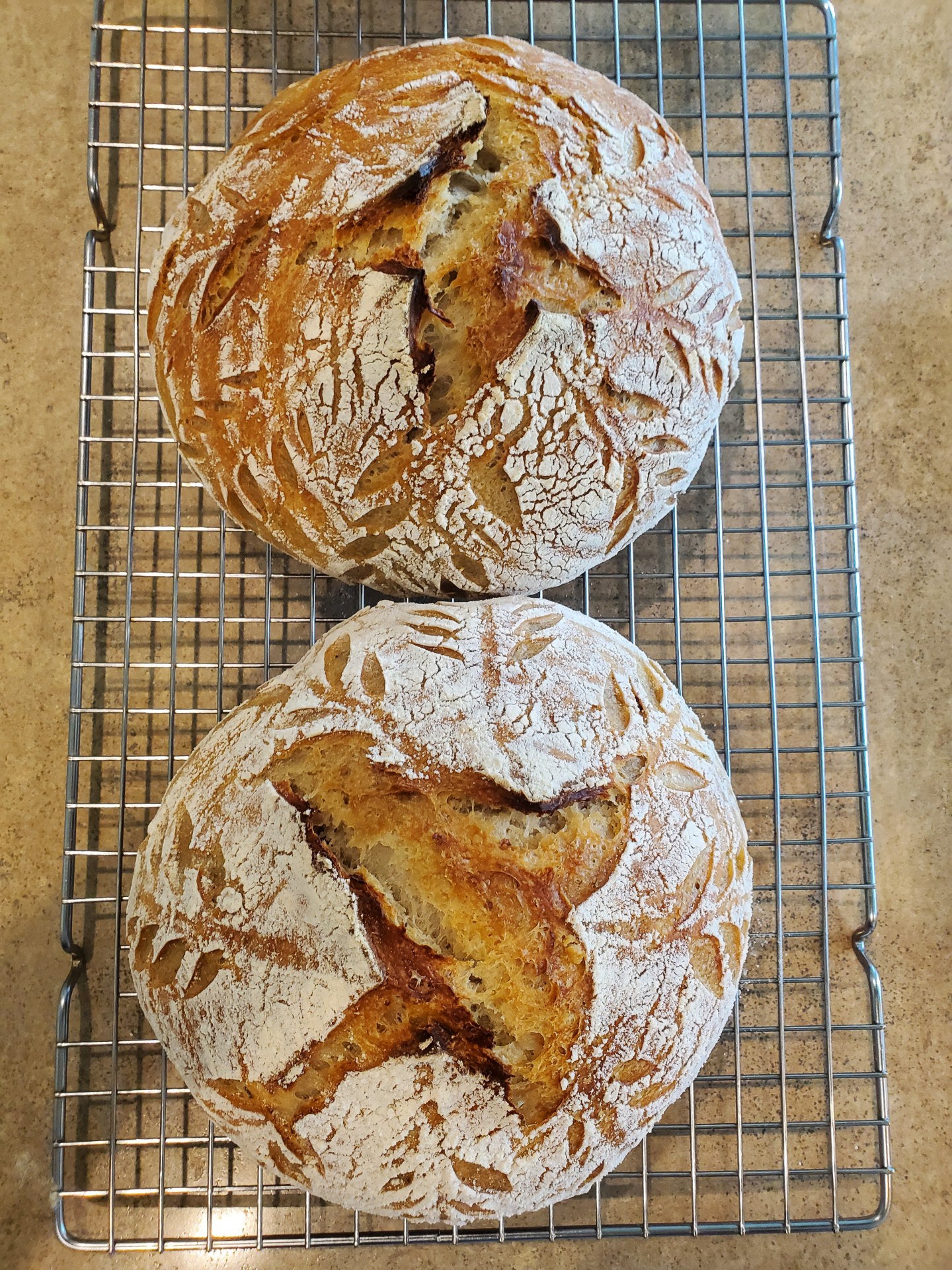 Artisinal Bread Loaf (GF)